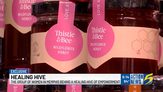 Thistle and Bee Featured on Action News 5