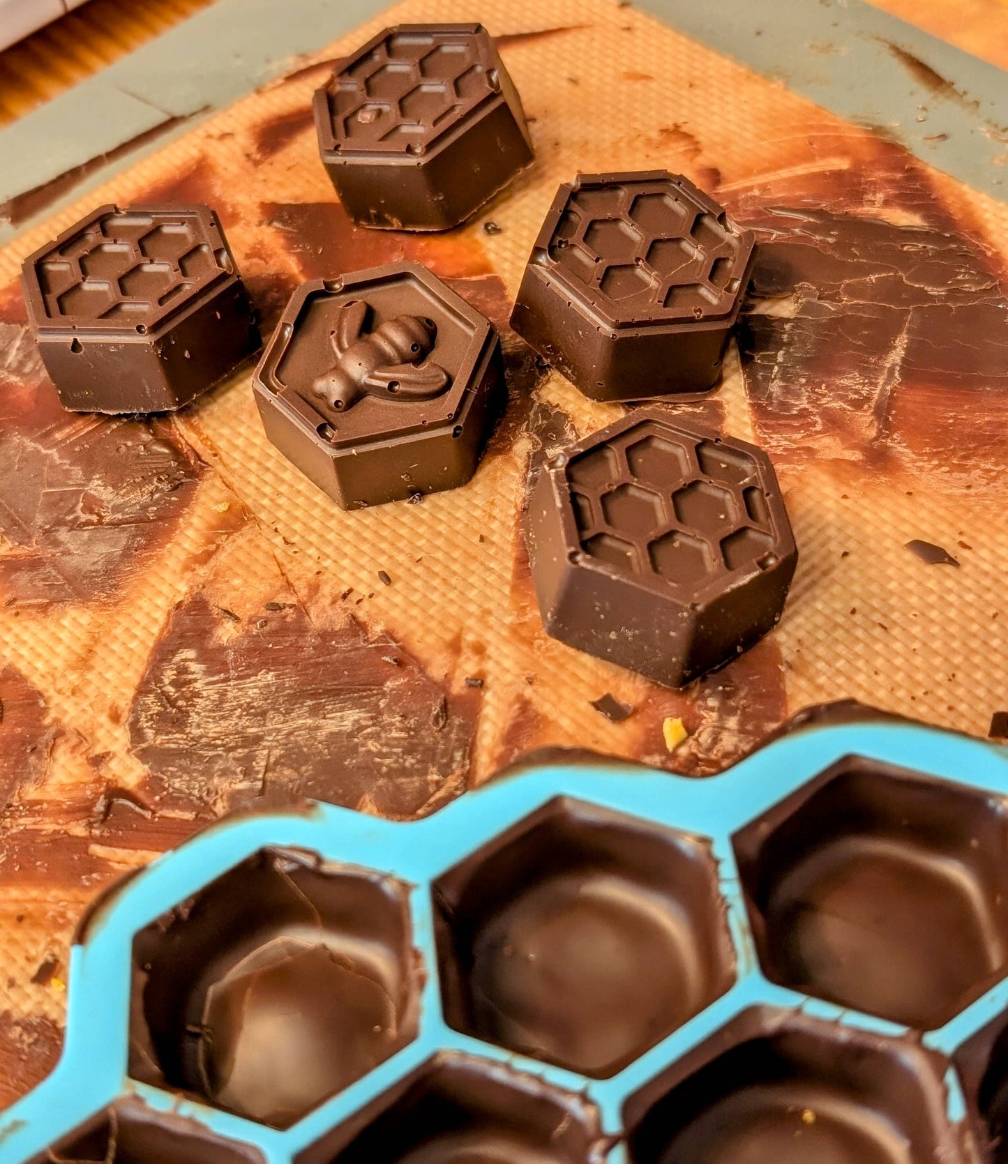 Bee Stings | Molded Dark Chocolate with Hot Honey Brittle