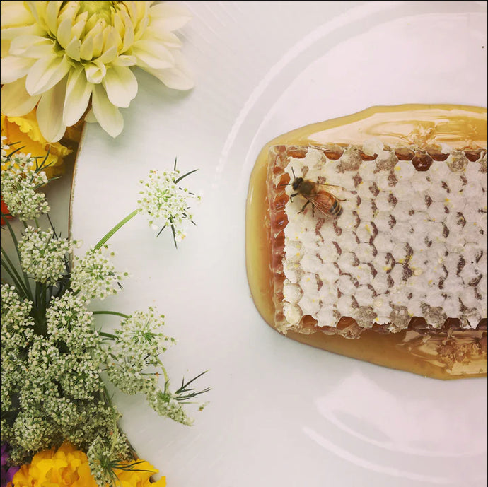 Bees and Honey Stoneware Dishes, Set of 3 | The Gilded Thistle