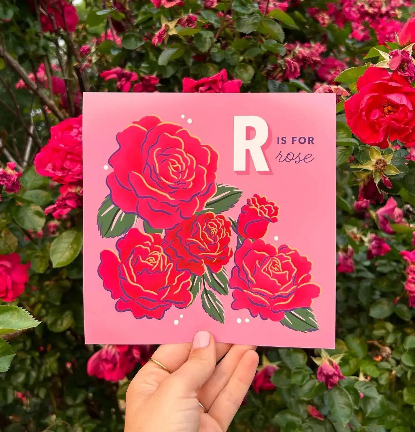 The Alphabet in Bloom 
