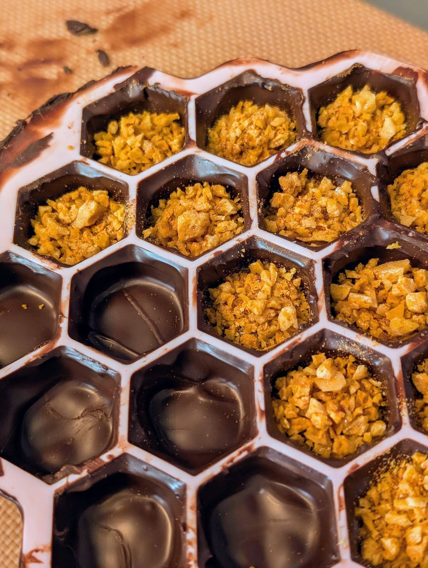 Bee Stings | Molded Dark Chocolate with Hot Honey Brittle